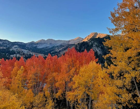 Marketing in Salt Lake City, Utah