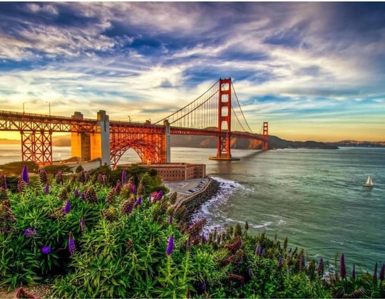 Marketing in San Francisco, California