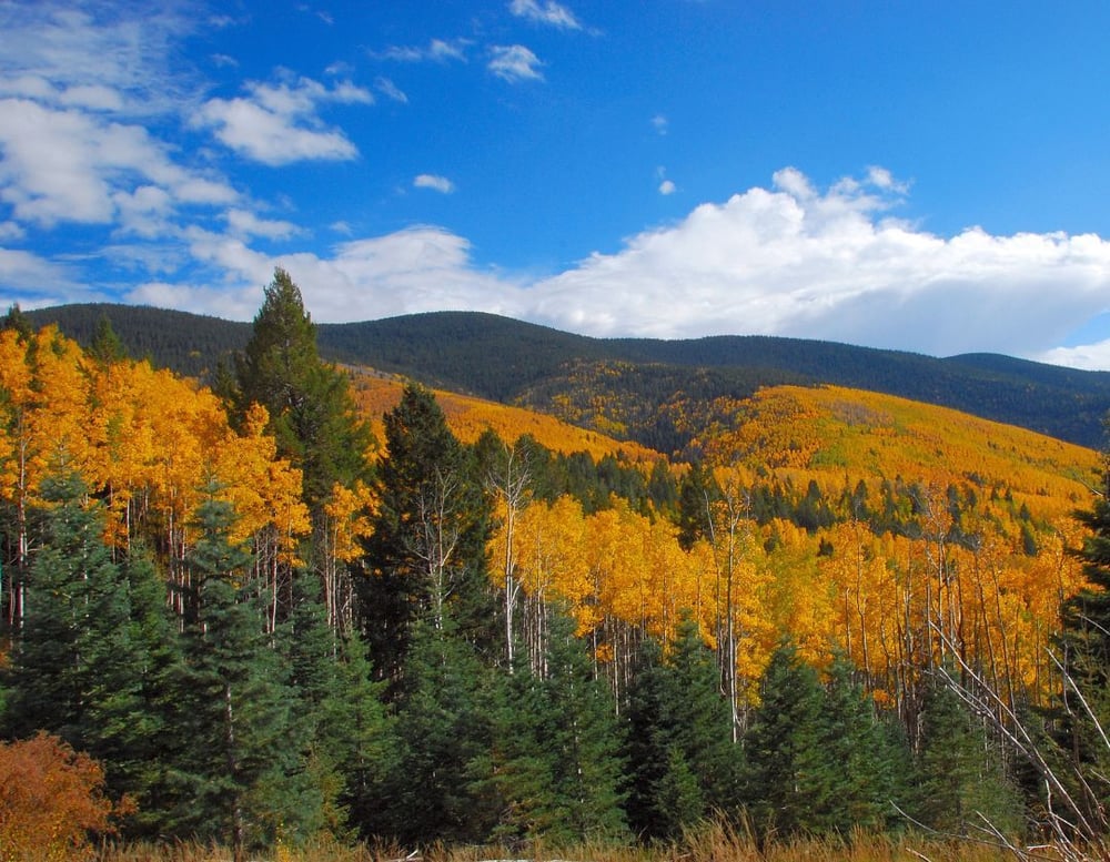 Santa Fe Marketing Agency