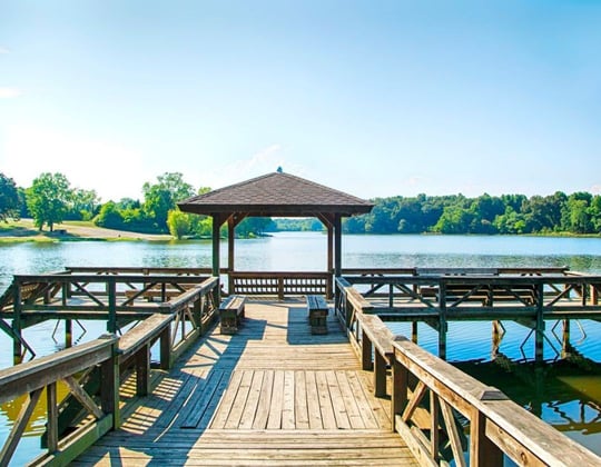 Why we love marketing in Shreveport, Louisiana