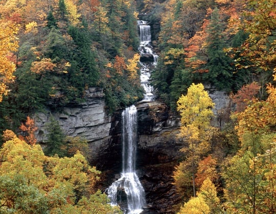 Marketing in the Palmetto State