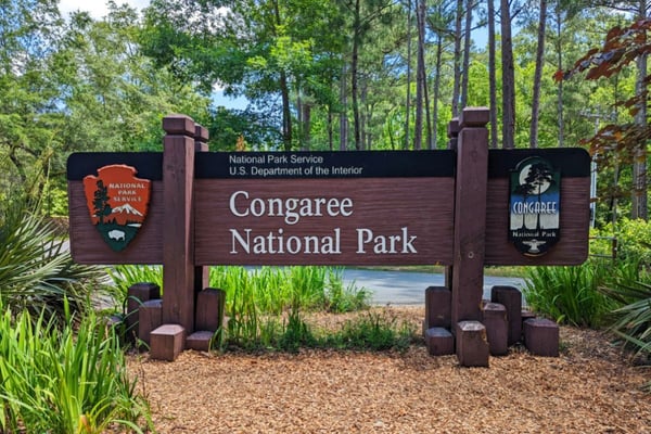 Our Favorite Things To Do In South Carolina