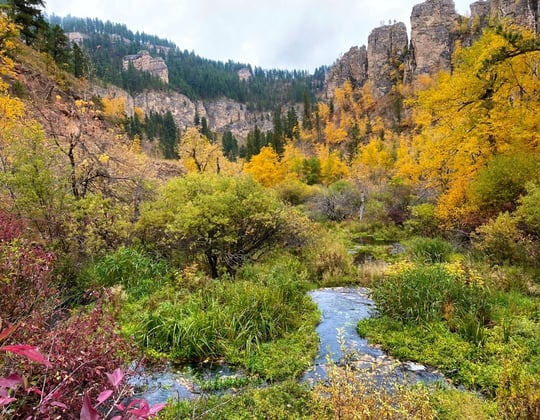 Marketing in the Mount Rushmore State