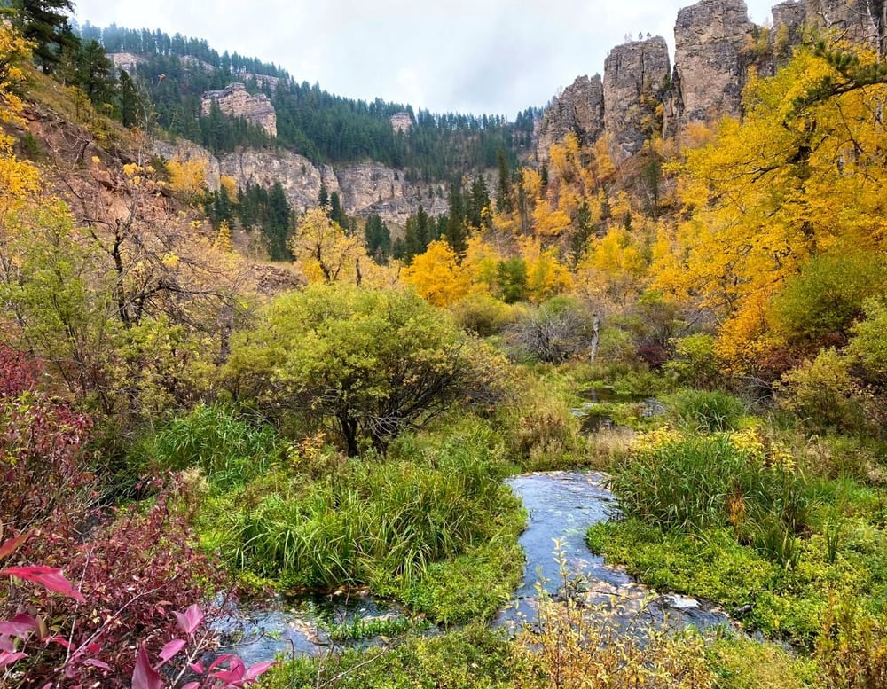 Pierre Marketing Agency