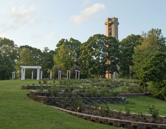 Marketing in Springfield, Illinois