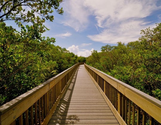 Marketing in St. Petersburg, Florida