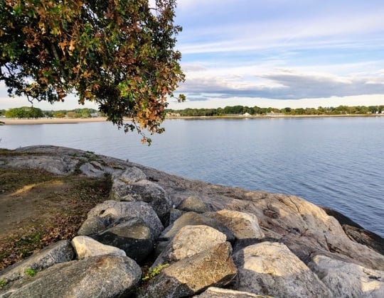 Marketing in Stamford, Connecticut