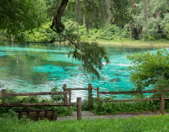 Marketing in Tampa, Florida