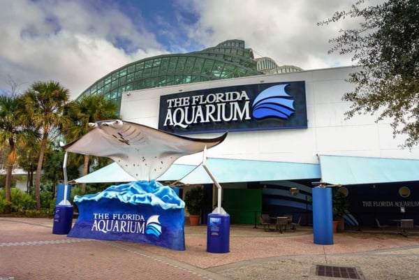 Our Favorite Things To Do In Tampa