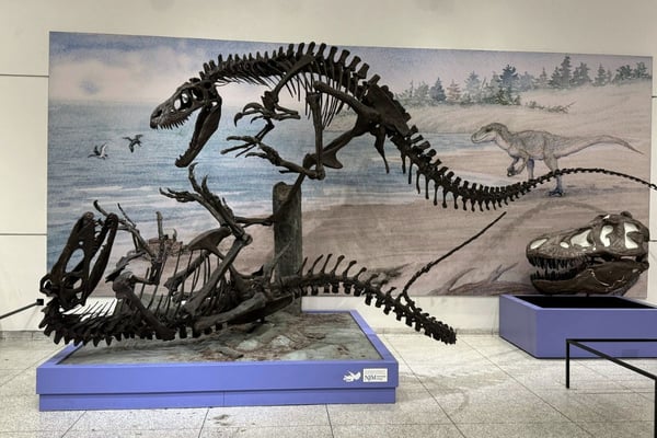 Our Favorite Things To Do In Trenton