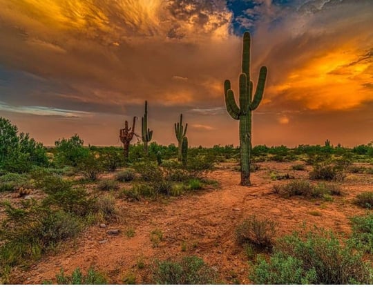 Marketing in Tucson, Arizona