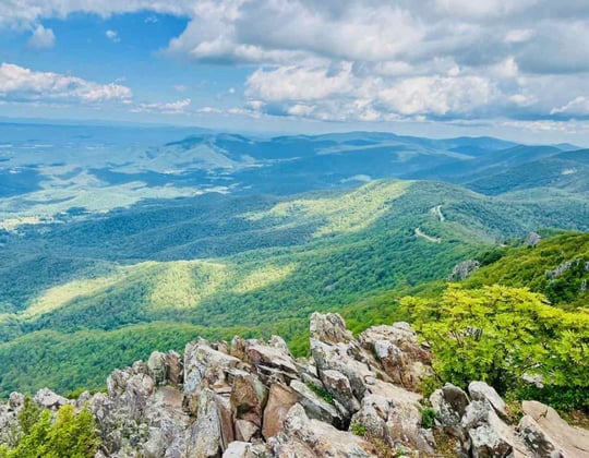 Marketing in the Old Dominion