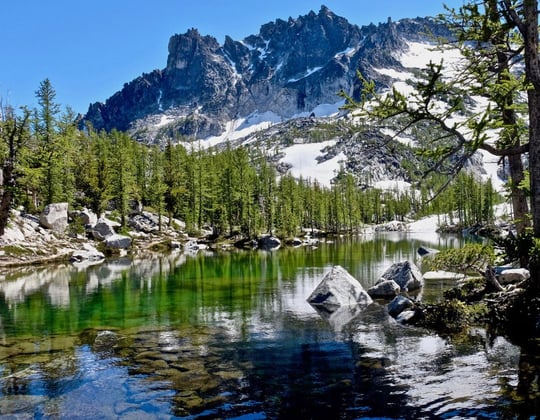 Marketing in the Evergreen State