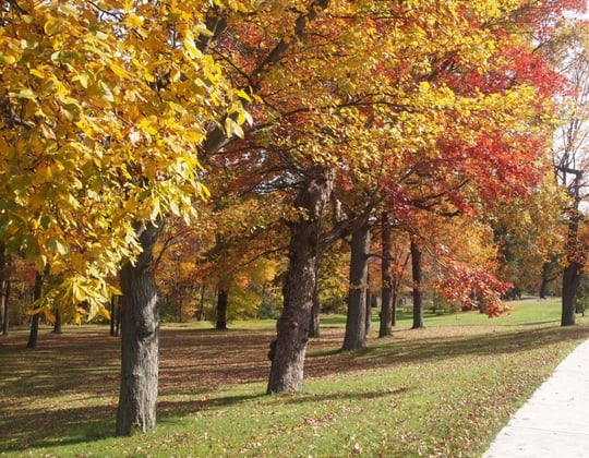 Marketing in Waterbury, Connecticut