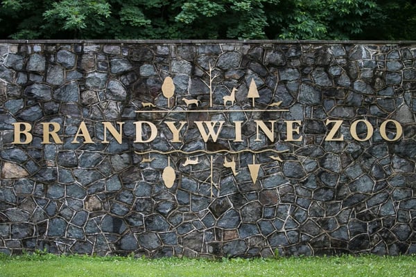 Our Favorite Things To Do In Wilmington