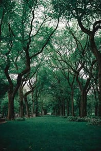 5 Unexpected Ways Blogs Can Improve Sales Performance