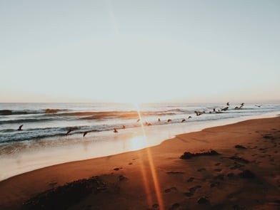 Get Noticed: Facebook Marketing Ideas for Business