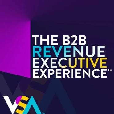 The B2B Revenue Executive Experience
