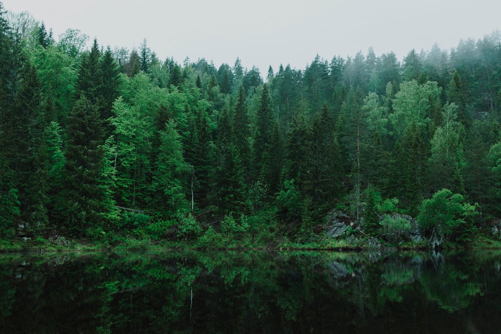 Minnesota Marketing Agency