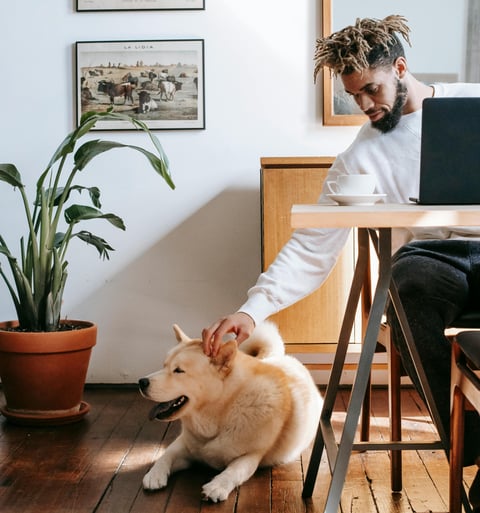 OPERATIONAL EFFICIENCY = GROWTH STRATEGY