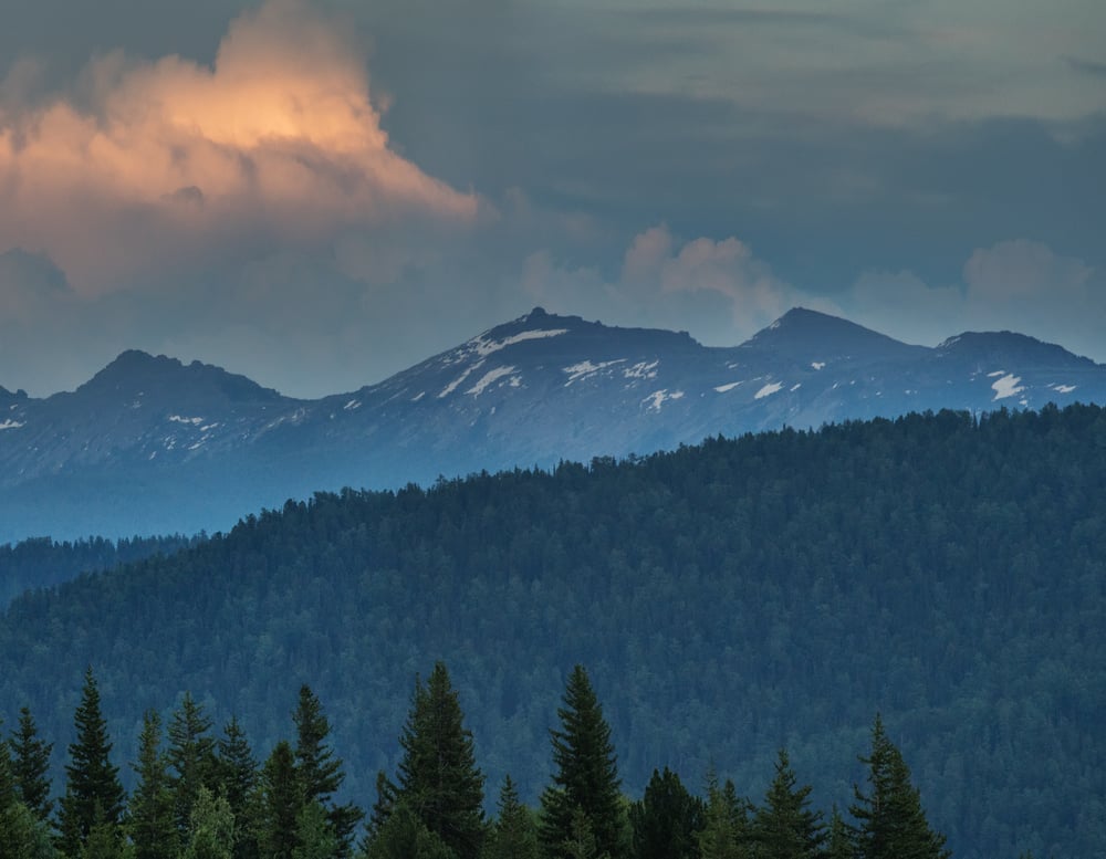 Washington Marketing Agency