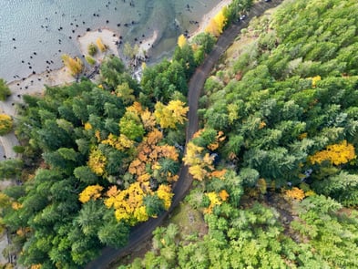 AI Insights Are Marketing Gold: How to Tell a Better Story With Data