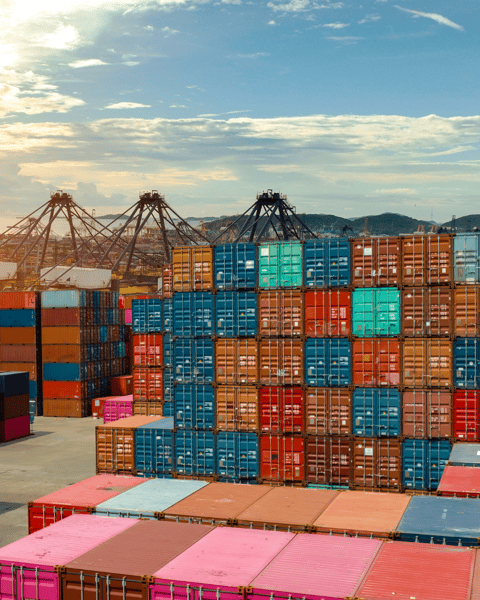 Digital Strategies That Move Freight and Business Forward