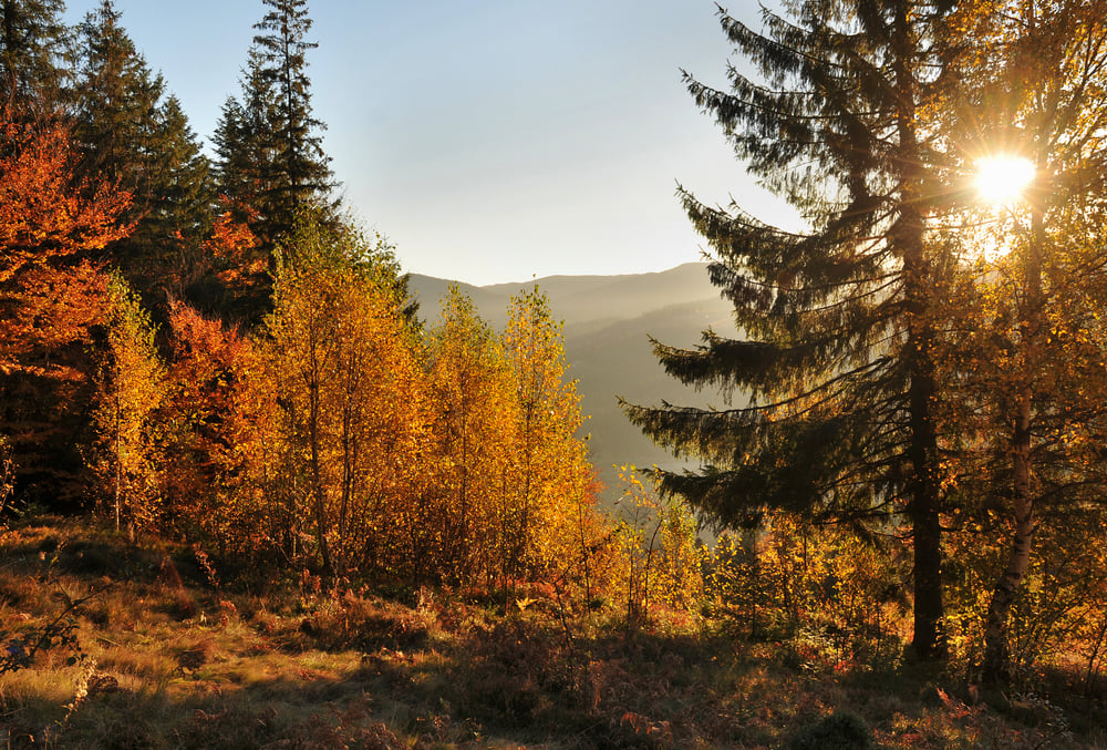 Massachusetts Marketing Agency