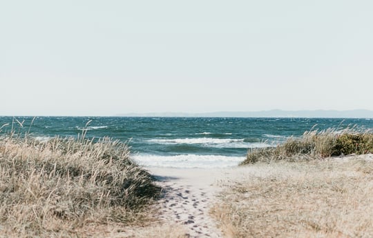 Why Invest In Content Marketing Services?