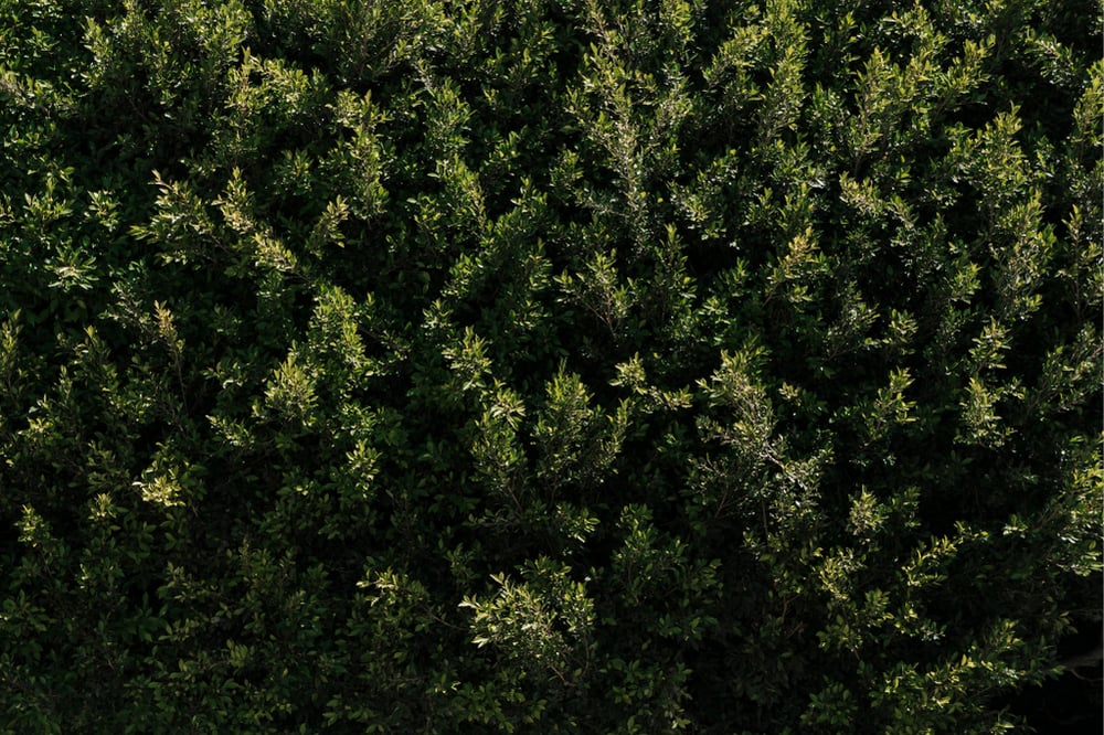 HUBSPOT BLOG MIGRATION