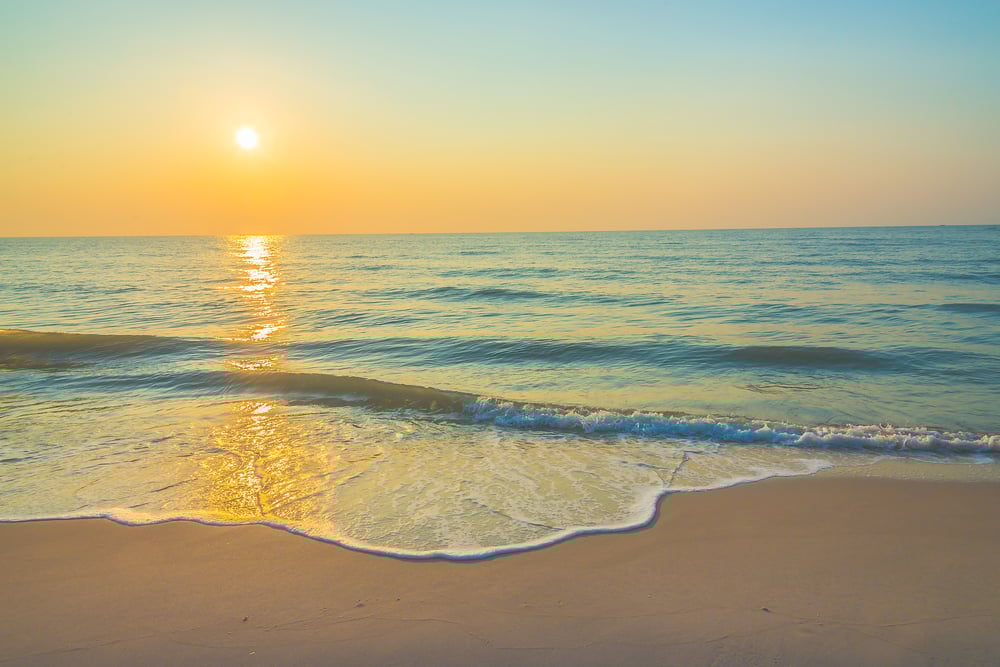 Delaware Marketing Agency