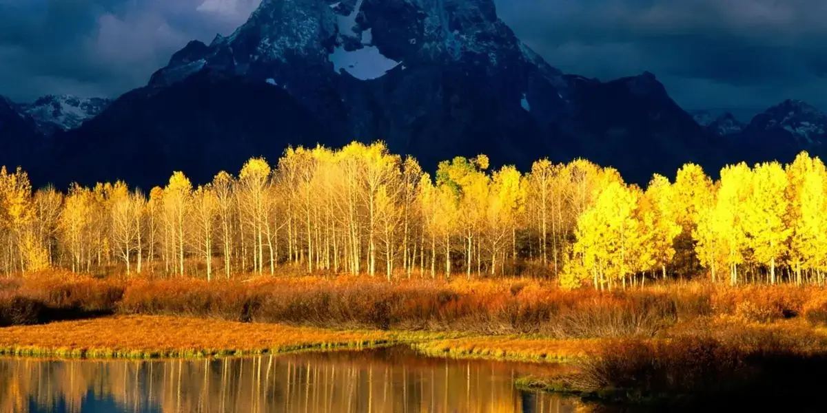 Understanding the Industrial PR Agency: Role and Benefits for Executives