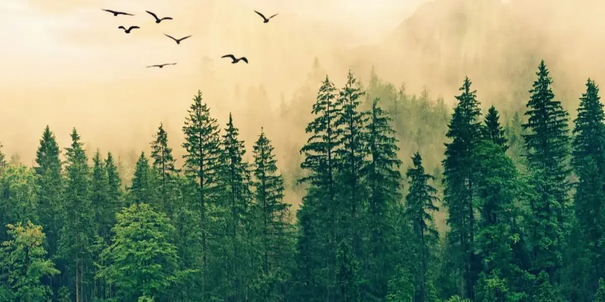 10 B2B Marketing Ideas to Boost Your Manufacturing Strategy