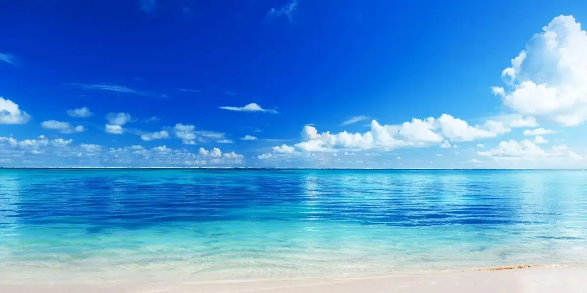 24 Brand Repositioning Examples Renewing Company Growth