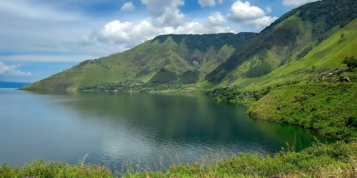 What is a Software Marketing Agency and Why It Matters for You