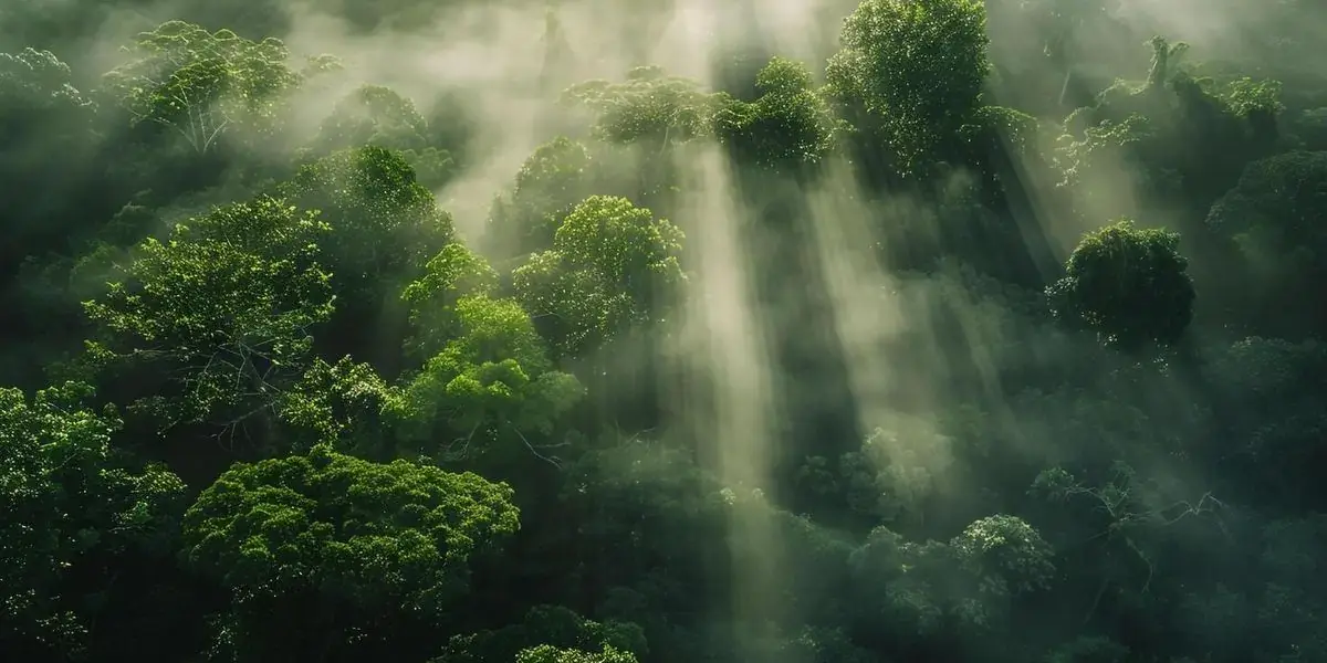 What Are Examples of Content Marketing? Key Insights for Executives