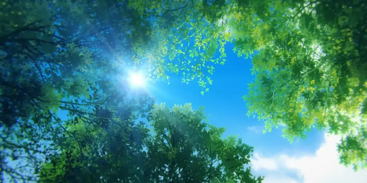 Understanding Digital Brand Identity: Key Insights for Executives