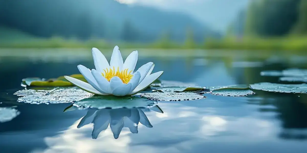 Choose the Right Manufacturing Web Design Company in 4 Steps