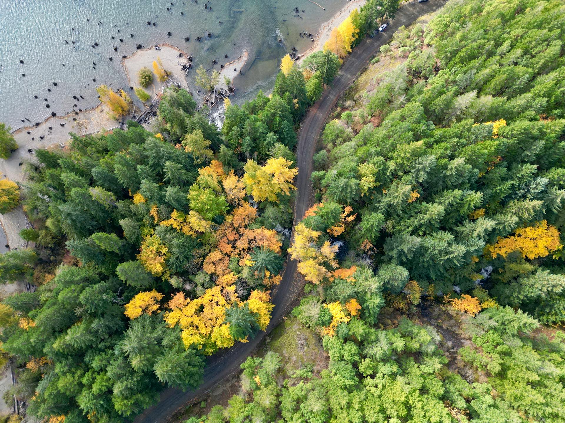 AI Insights Are Marketing Gold: How to Tell a Better Story With Data