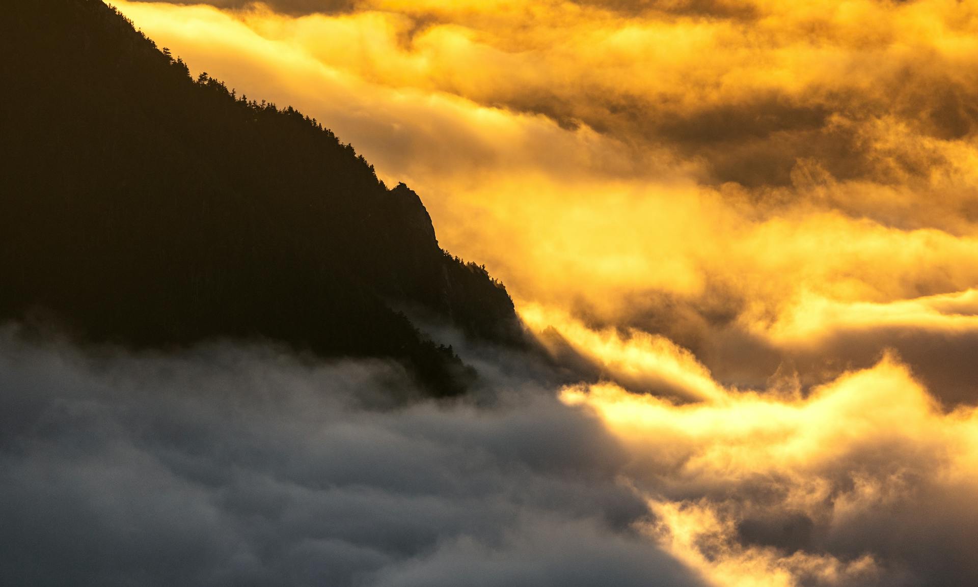 How to Use AI to Outperform Competitors in Manufacturing Marketing